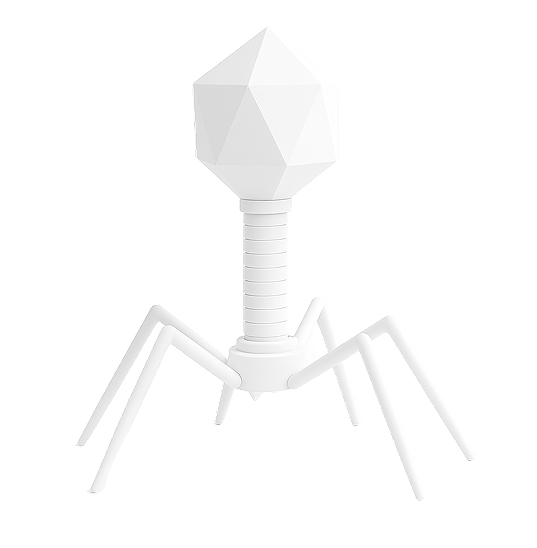 Metphage Medea
